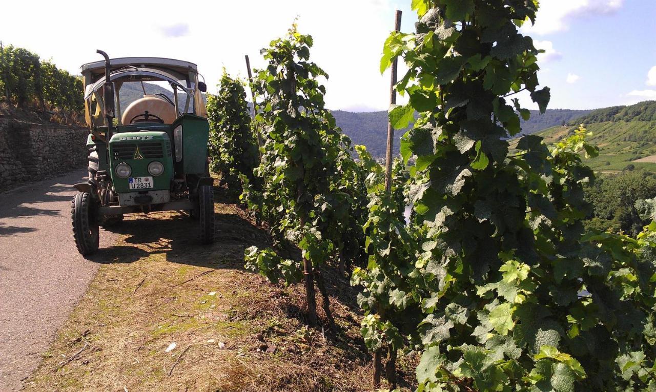 דירות לייוון Ferienweingut Ulrike Thul מראה חיצוני תמונה