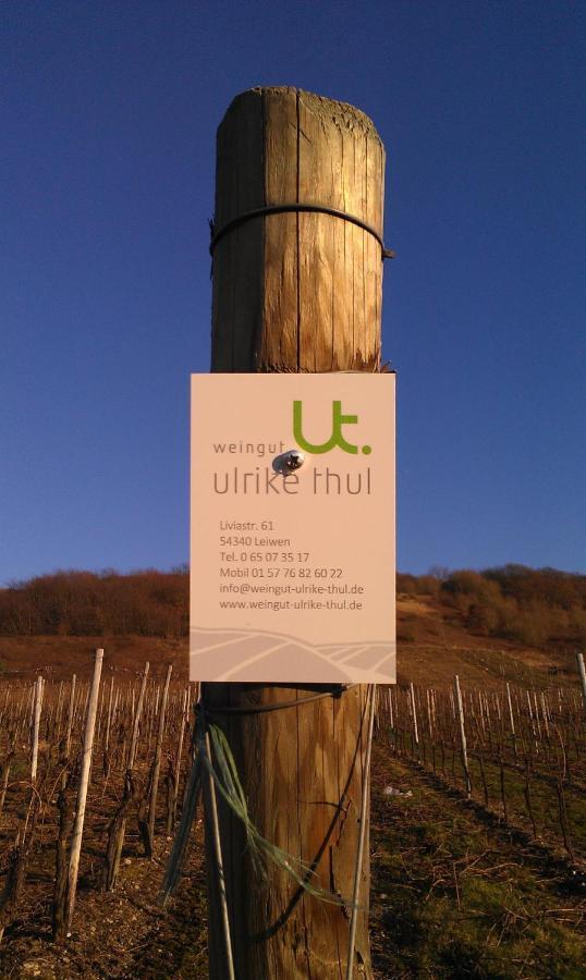 דירות לייוון Ferienweingut Ulrike Thul מראה חיצוני תמונה