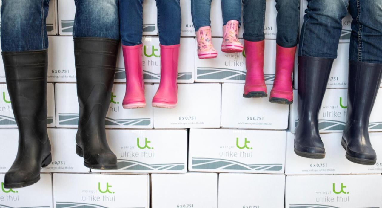 דירות לייוון Ferienweingut Ulrike Thul מראה חיצוני תמונה